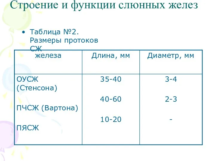 Строение и функции слюнных желез Таблица №2. Размеры протоков СЖ