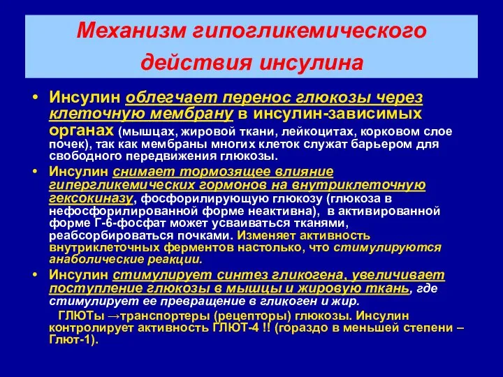 Механизм гипогликемического действия инсулина Инсулин облегчает перенос глюкозы через клеточную мембрану