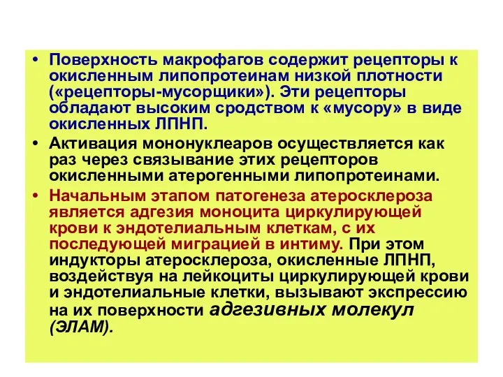 Поверхность макрофагов содержит рецепторы к окисленным липопротеинам низкой плотности («рецепторы-мусорщики»). Эти