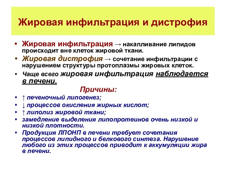 Жировая инфильтрация и дистрофия Жировая инфильтрация → накапливание липидов происходит вне