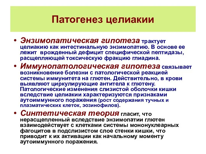 Патогенез целиакии Энзимопатическая гипотеза трактует целиакию как интестинальную энзимопатию. В основе