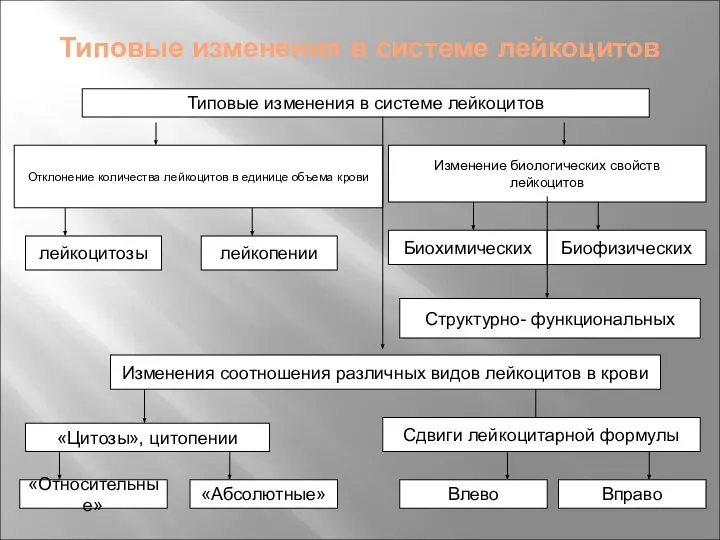 Типовые изменения в системе лейкоцитов Типовые изменения в системе лейкоцитов Отклонение