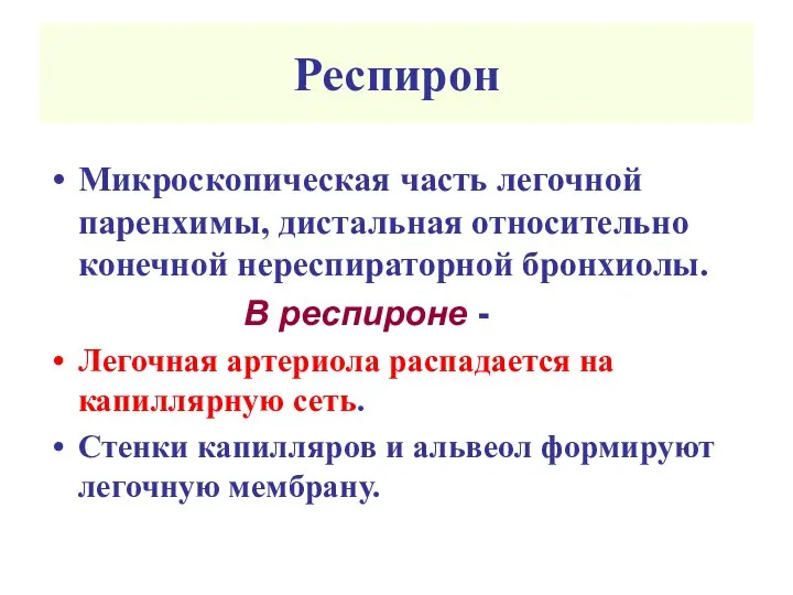 Респирон Микроскопическая часть легочной паренхимы, дистальная относительно конечной нереспираторной бронхиолы. В