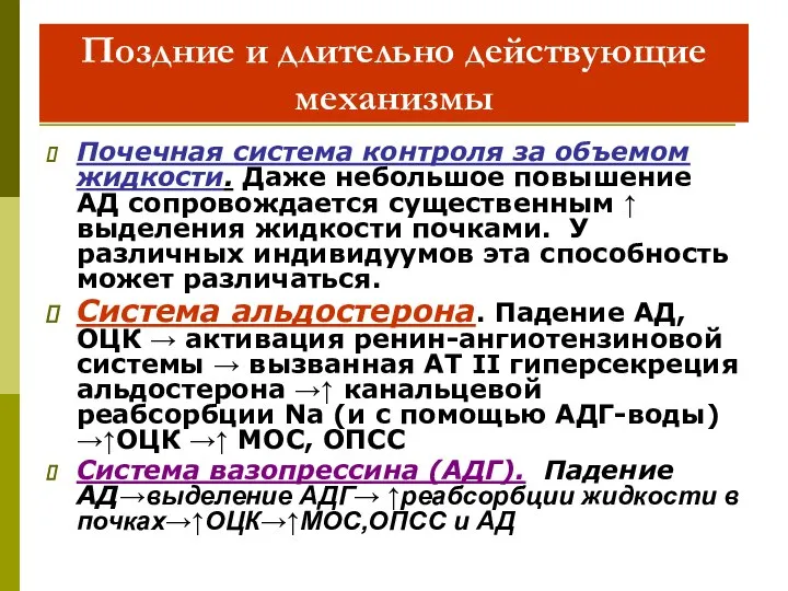 Поздние и длительно действующие механизмы Почечная система контроля за объемом жидкости.