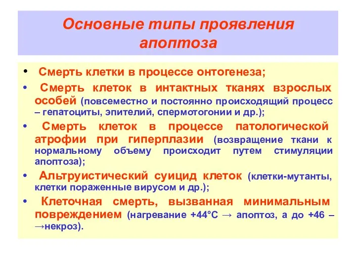 Основные типы проявления апоптоза Смерть клетки в процессе онтогенеза; Смерть клеток