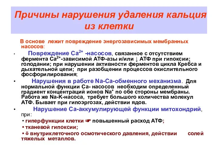 Причины нарушения удаления кальция из клетки В основе лежит повреждение энергозависимых