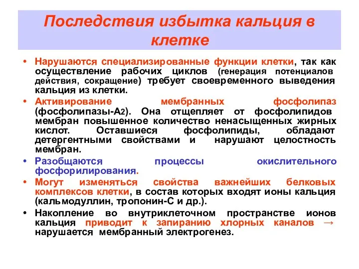 Последствия избытка кальция в клетке Нарушаются специализированные функции клетки, так как