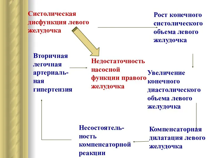 Рост конечного систолического объема левого желудочка Увеличение конечного диастолического объема левого желудочка Компенсаторная дилатация левого желудочка