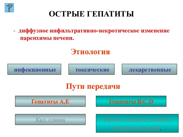 ОСТРЫЕ ГЕПАТИТЫ диффузное инфильтративно-некротическое изменение паренхимы печени. Этиология инфекционные токсические лекарственные