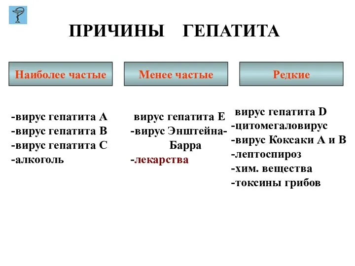 ПРИЧИНЫ ГЕПАТИТА Наиболее частые Менее частые Редкие вирус гепатита А вирус