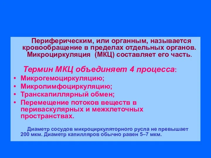 Периферическим, или органным, называется кровообращение в пределах отдельных органов. Микроциркуляция (МКЦ)