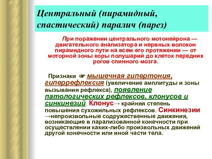 Центральный (пирамидный, спастический) паралич (парез) При поражении центрального мотонейрона — двигательного