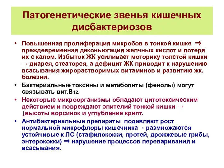 Патогенетические звенья кишечных дисбактериозов Повышенная пролиферация микробов в тонкой кишке ⇒