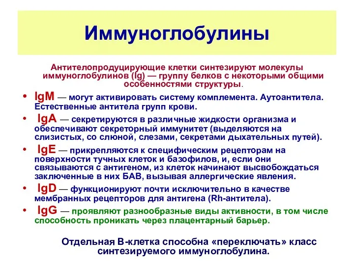 Иммуноглобулины Антителопродуцирующие клетки синтезируют молекулы иммуноглобулинов (Ig) — группу белков с