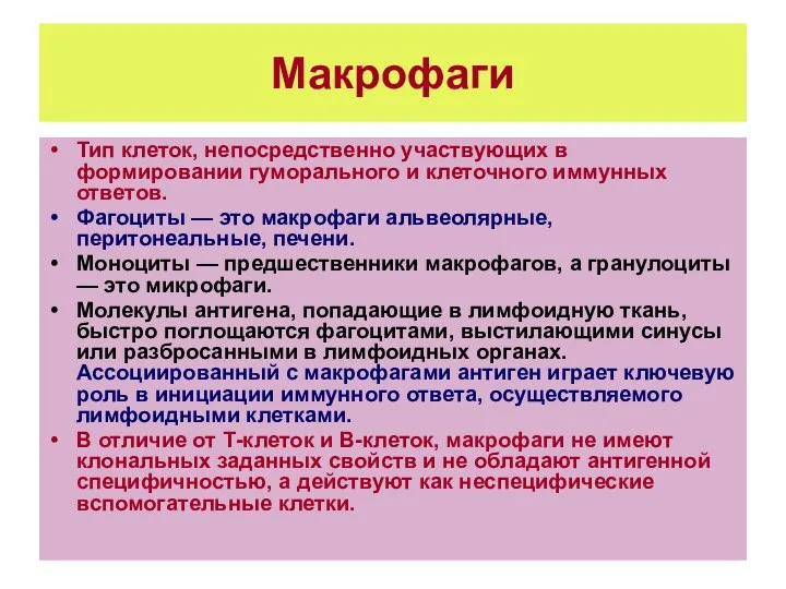 Макрофаги Тип клеток, непосредственно участвующих в формировании гуморального и клеточного иммунных