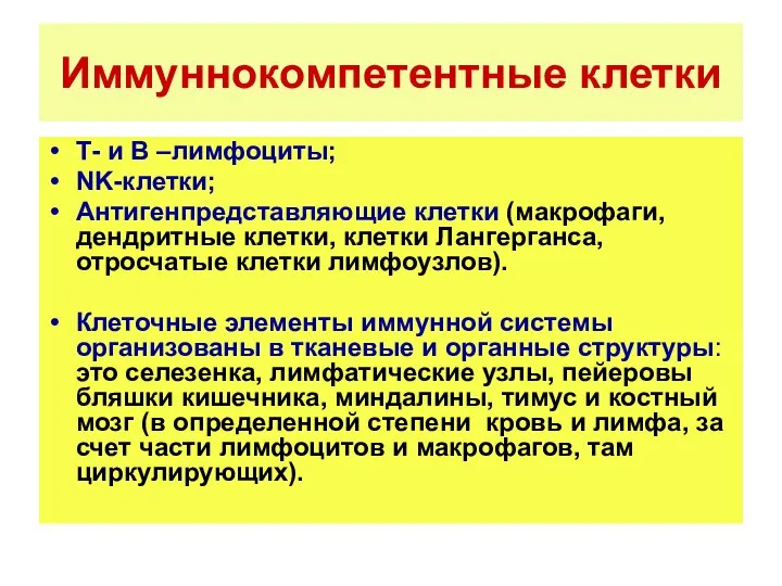 Иммуннокомпетентные клетки Т- и В –лимфоциты; NK-клетки; Антигенпредставляющие клетки (макрофаги, дендритные