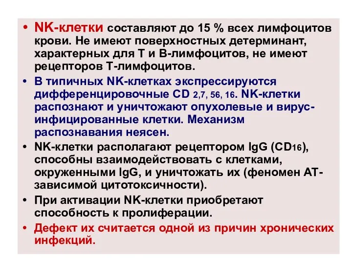 NK-клетки составляют до 15 % всех лимфоцитов крови. Не имеют поверхностных