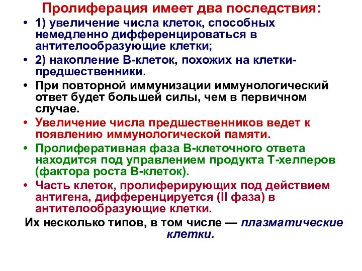 Пролиферация имеет два последствия: 1) увеличение числа клеток, способных немедленно дифференцироваться