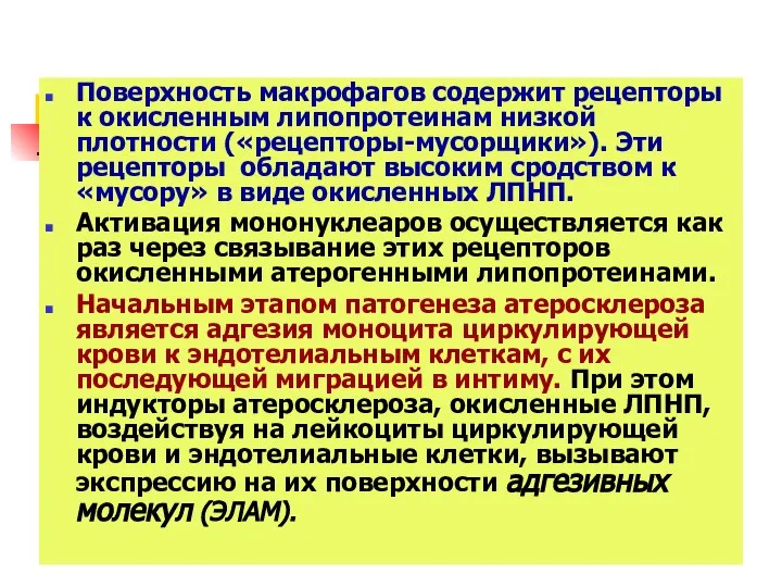 Поверхность макрофагов содержит рецепторы к окисленным липопротеинам низкой плотности («рецепторы-мусорщики»). Эти