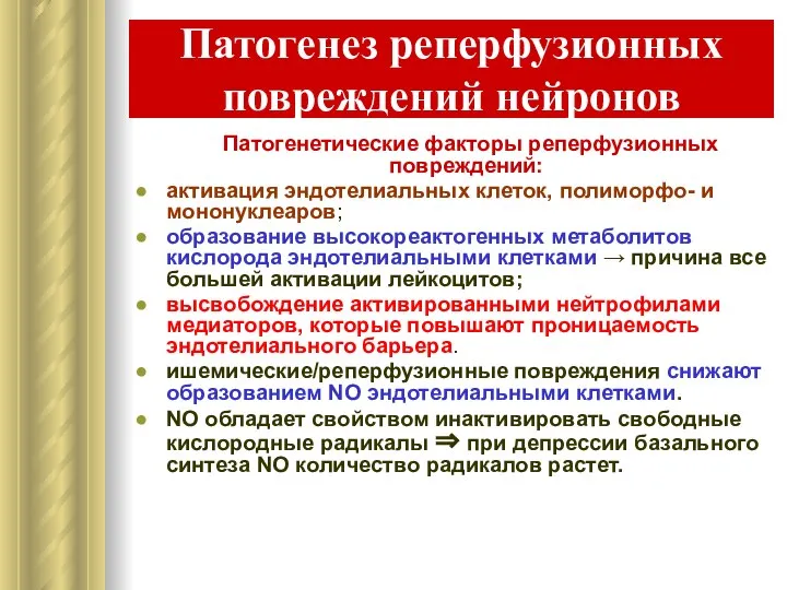 Патогенез реперфузионных повреждений нейронов Патогенетические факторы реперфузионных повреждений: активация эндотелиальных клеток,