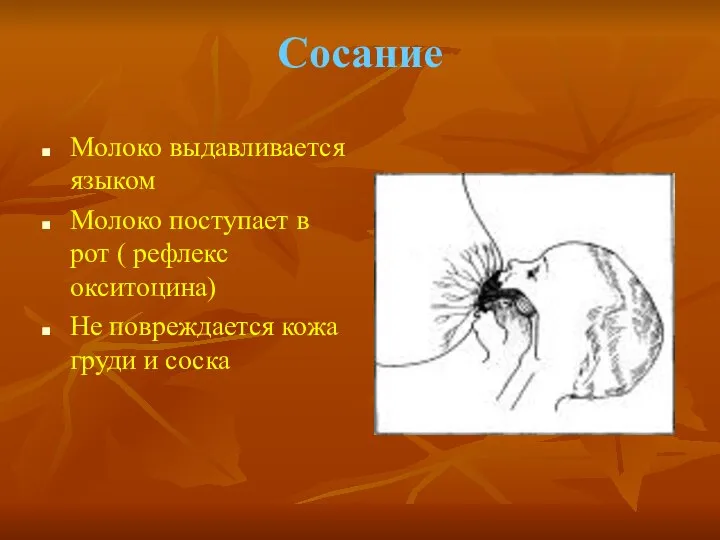 Сосание Молоко выдавливается языком Молоко поступает в рот ( рефлекс окситоцина)