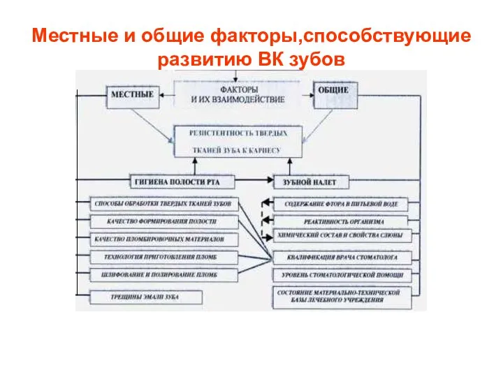 Местные и общие факторы,способствующие развитию ВК зубов