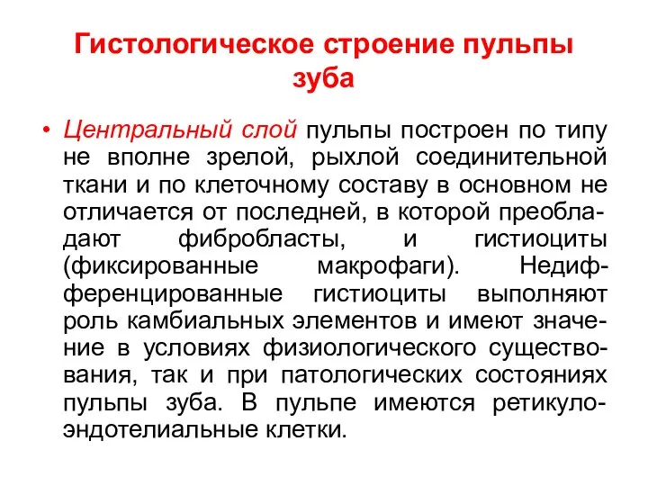 Гистологическое строение пульпы зуба Центральный слой пульпы построен по типу не