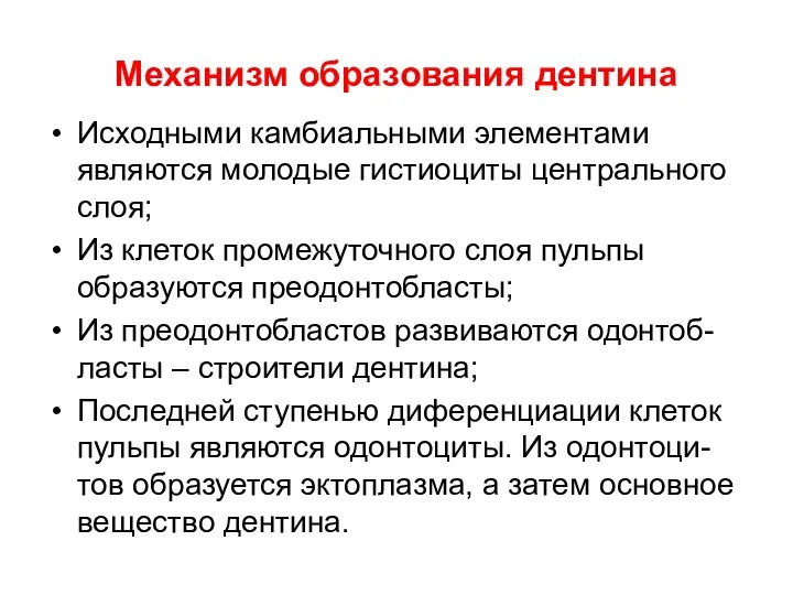 Механизм образования дентина Исходными камбиальными элементами являются молодые гистиоциты центрального слоя;