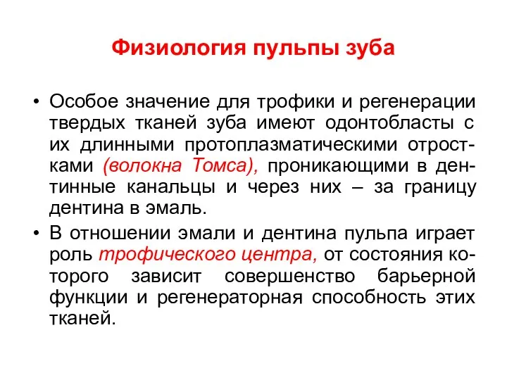 Физиология пульпы зуба Особое значение для трофики и регенерации твердых тканей