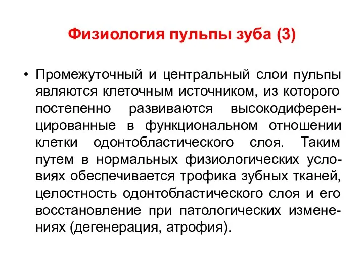 Физиология пульпы зуба (3) Промежуточный и центральный слои пульпы являются клеточным