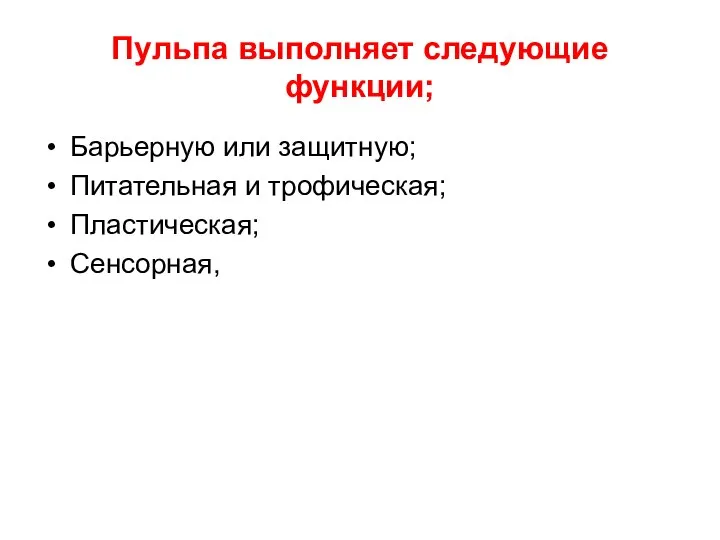 Пульпа выполняет следующие функции; Барьерную или защитную; Питательная и трофическая; Пластическая; Сенсорная,