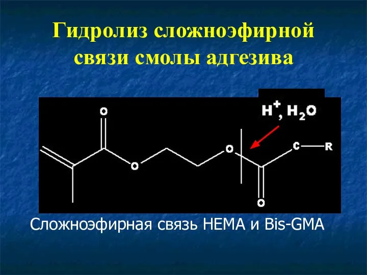Гидролиз сложноэфирной связи смолы адгезива Сложноэфирная связь HEMA и Bis-GMA