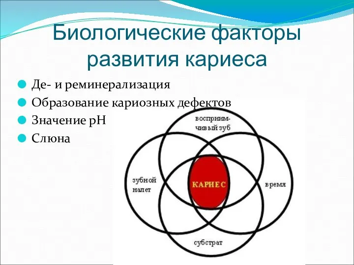 Биологические факторы развития кариеса Де- и реминерализация Образование кариозных дефектов Значение рН Слюна