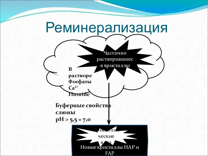 Новые кристаллы НАР и FАР Реминерализация Частично растворившиеся кристаллы В растворе