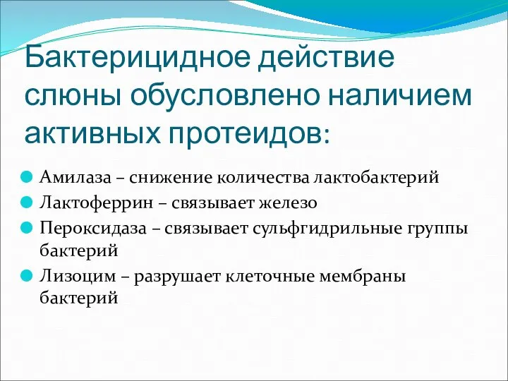 Бактерицидное действие слюны обусловлено наличием активных протеидов: Амилаза – снижение количества