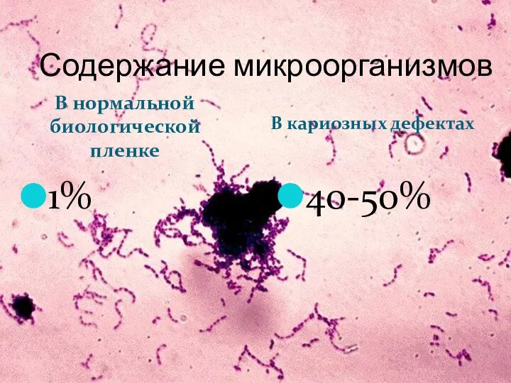 Содержание микроорганизмов В нормальной биологической пленке В кариозных дефектах 1% 40-50%