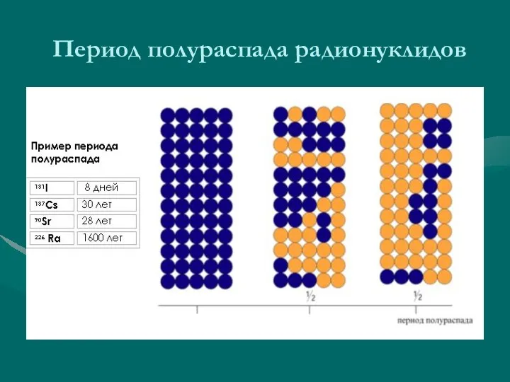 Период полураспада радионуклидов