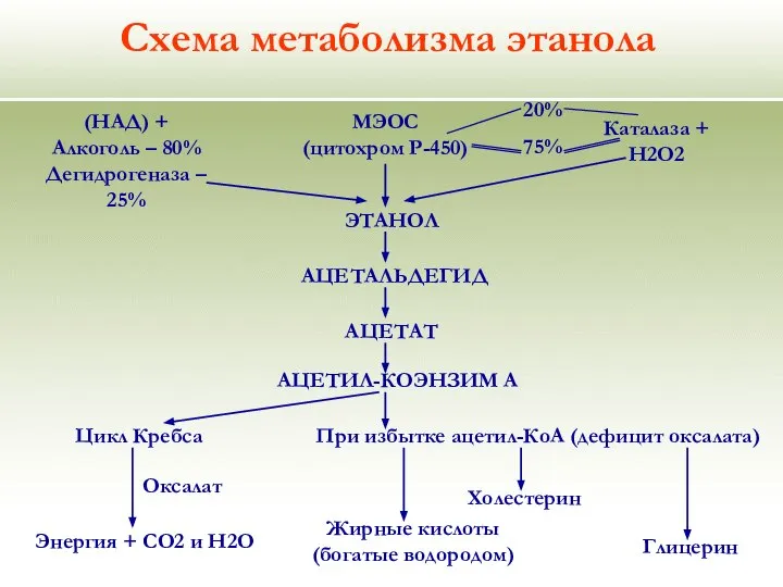 Схема метаболизма этанола (НАД) + Алкоголь – 80% Дегидрогеназа – 25%