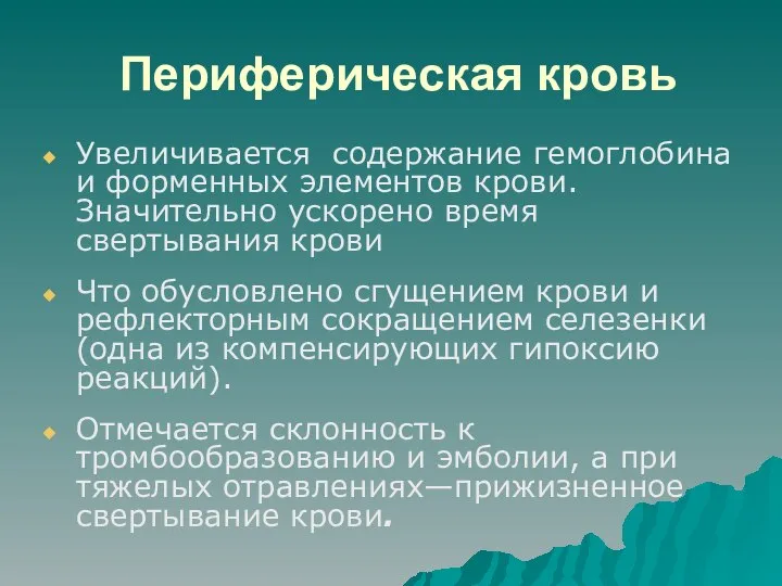 Периферическая кровь Увеличивается содержание гемоглобина и форменных элементов крови. Значительно ускорено