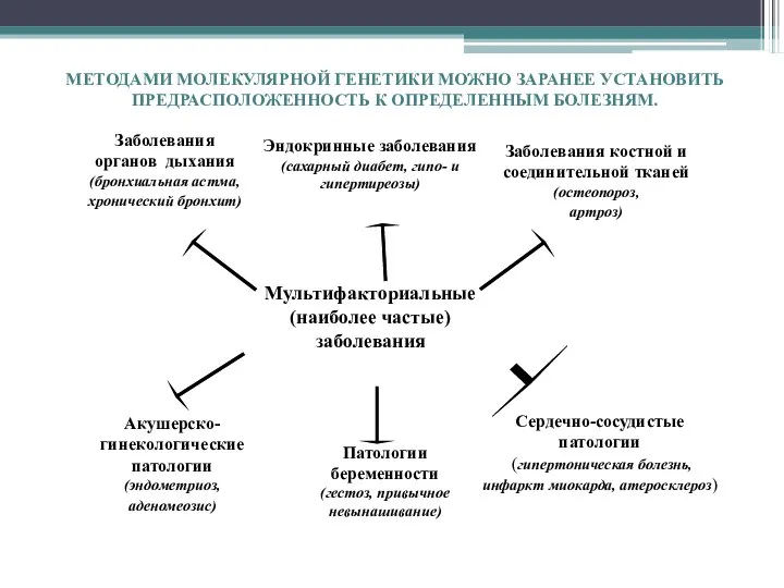 МЕТОДАМИ МОЛЕКУЛЯРНОЙ ГЕНЕТИКИ МОЖНО ЗАРАНЕЕ УСТАНОВИТЬ ПРЕДРАСПОЛОЖЕННОСТЬ К ОПРЕДЕЛЕННЫМ БОЛЕЗНЯМ.