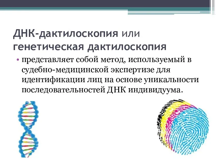 ДНК-дактилоскопия или генетическая дактилоскопия представляет собой метод, используемый в судебно-медицинской экспертизе