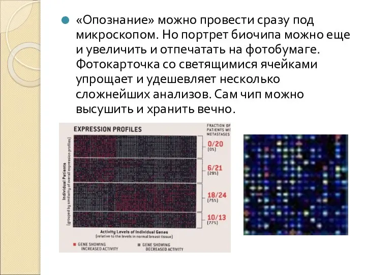 «Опознание» можно провести сразу под микроскопом. Но портрет биочипа можно еще