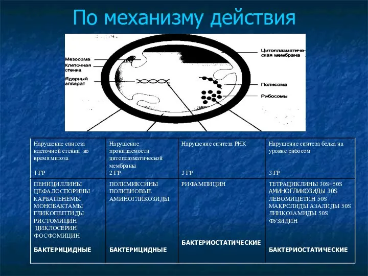 По механизму действия