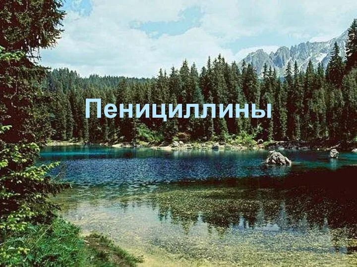 Пенициллины