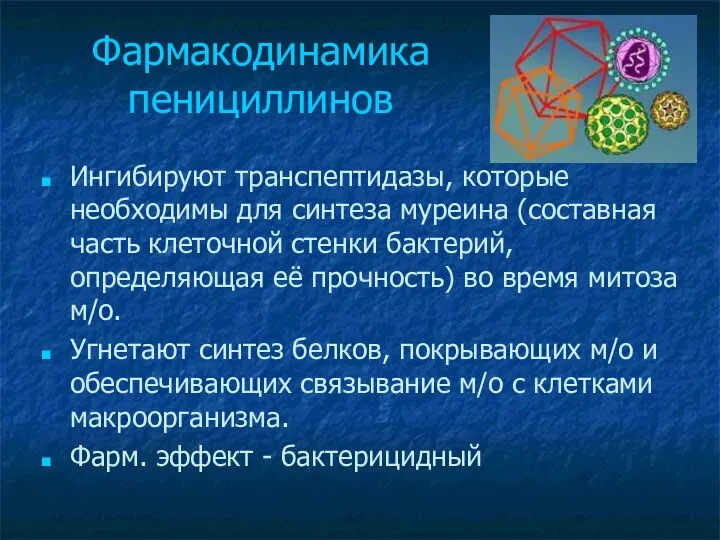 Фармакодинамика пенициллинов Ингибируют транспептидазы, которые необходимы для синтеза муреина (составная часть