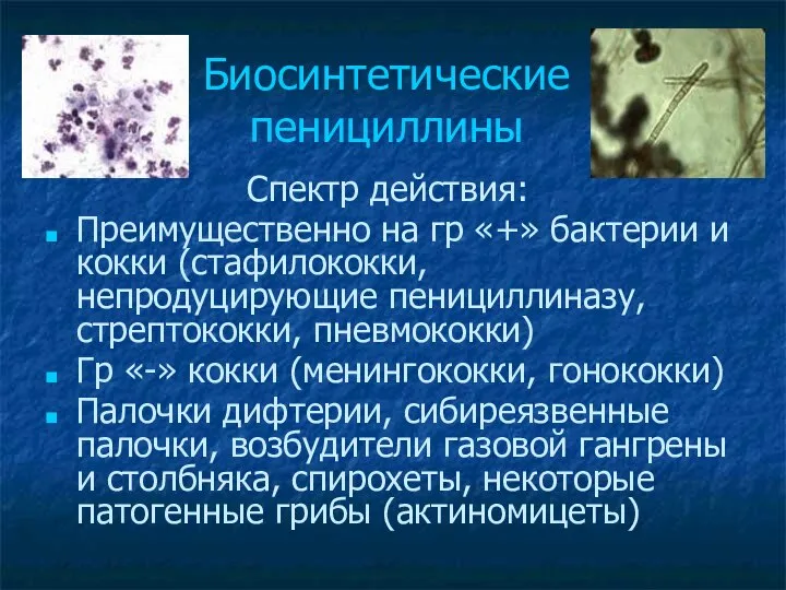 Биосинтетические пенициллины Спектр действия: Преимущественно на гр «+» бактерии и кокки