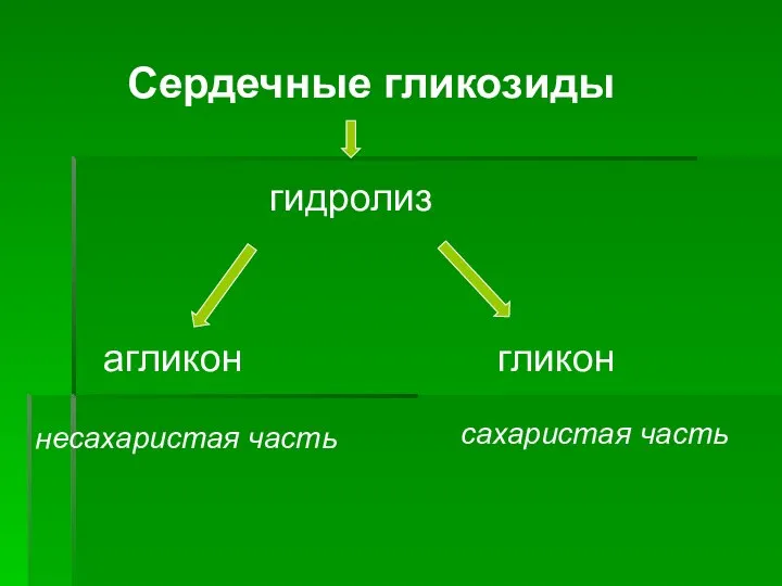 Сердечные гликозиды гидролиз агликон гликон несахаристая часть сахаристая часть