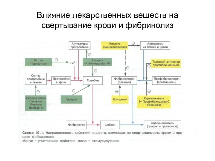 Влияние лекарственных веществ на свертывание крови и фибринолиз