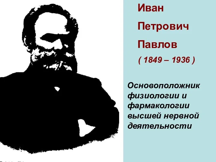 Иван Петрович Павлов ( 1849 – 1936 ) Основоположник физиологии и фармакологии высшей нервной деятельности