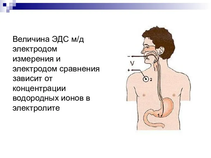 Величина ЭДС м/д электродом измерения и электродом сравнения зависит от концентрации водородных ионов в электролите